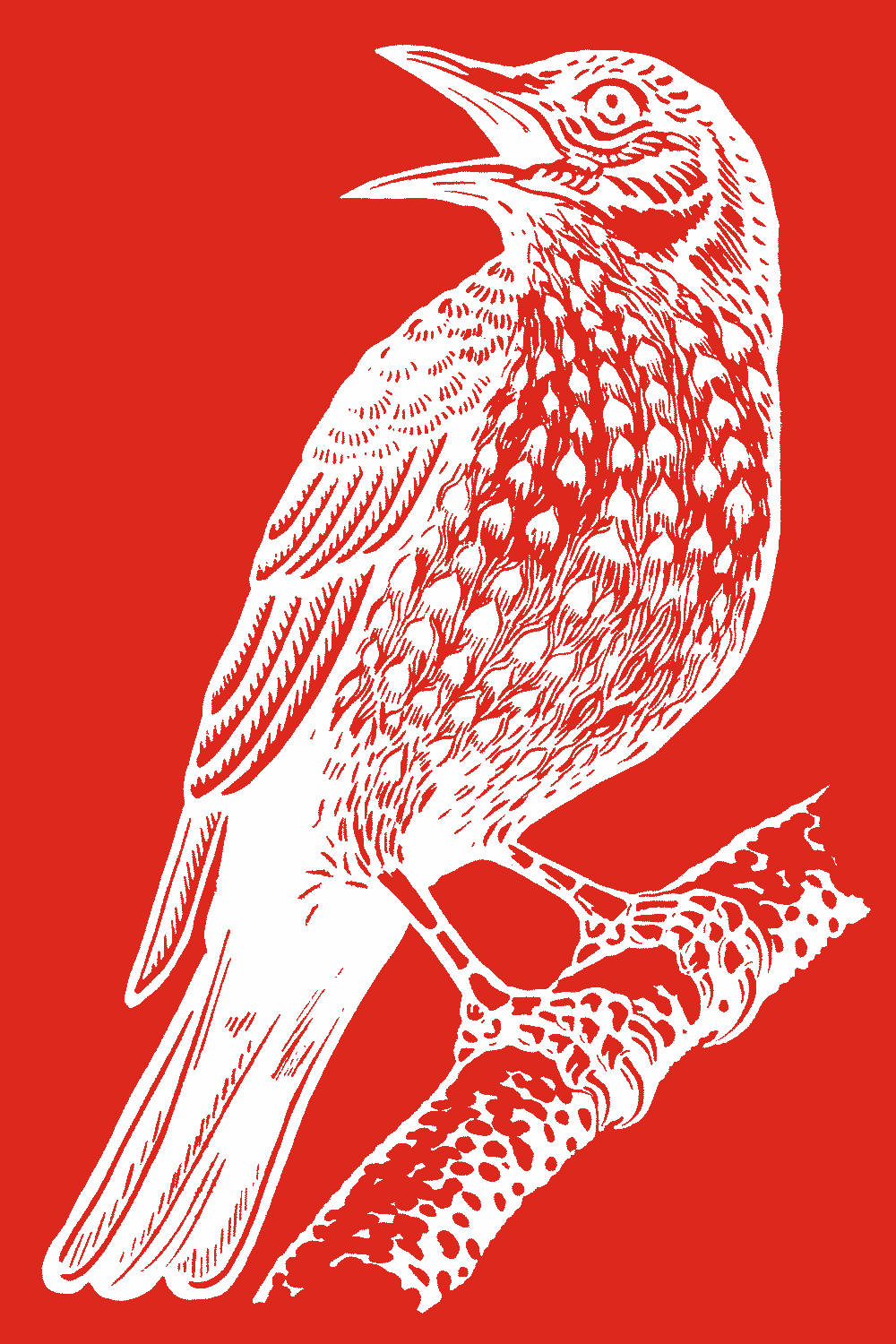 275671602_332995142204672_4244793995287896630_n 275671602_332995142204672_4244793995287896630_n